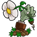植物大战僵尸A-TAS小工具下载-植物大战僵尸A-TAS小工具免费下载v3.0
