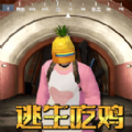 菠萝头吃鸡游戏下载-菠萝头吃鸡安卓版v1.0.0下载